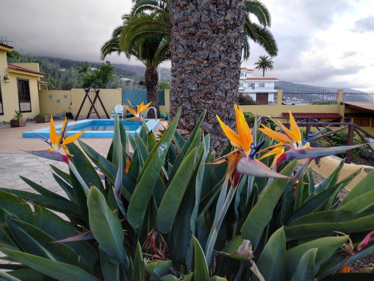Apartamento La Costa ซานตาครูซ เด เตเนริเฟ ภายนอก รูปภาพ